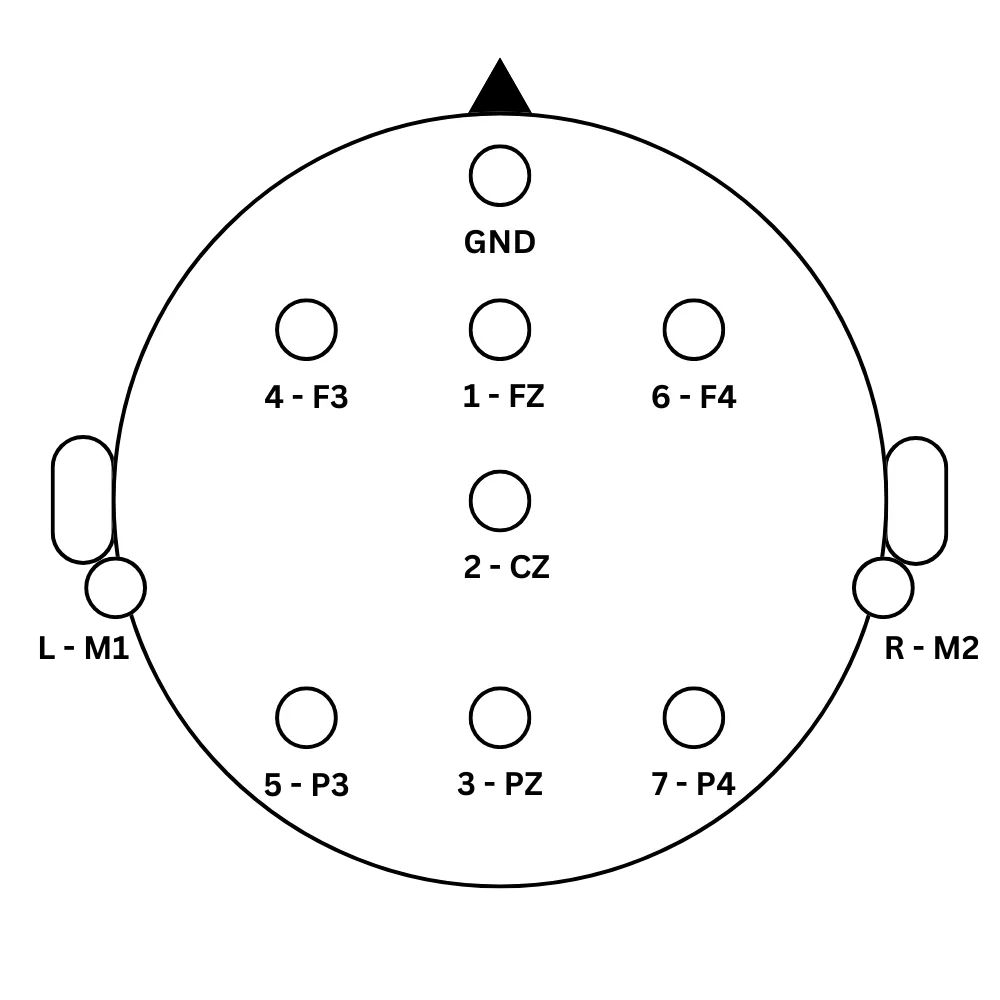 Head Electrodes for COGNISION® System