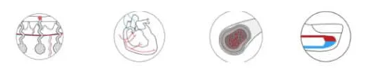 TM Flow System Features